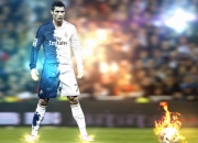 Scout迎来七赛季出色发挥，掘金观众热烈欢呼！观众掌声雷动